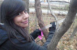 Jeanette measures a vine for her ecology project